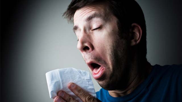 influenza influenza