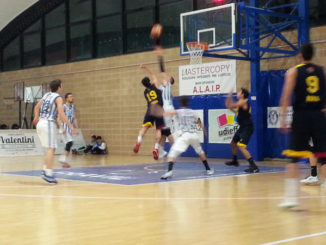 Basket 002