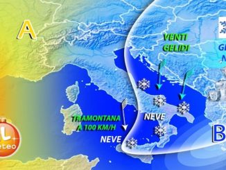 NEVE FOCUS4 3117