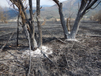 Riserva incendio 01