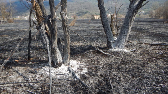 Riserva incendio 01 Riserva incendio 01