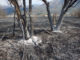 Riserva incendio 01