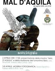 Mal aquila