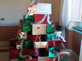 Albero comune Sora