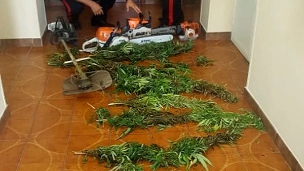 pontecorvo 20082018 2 pontecorvo 20082018 2