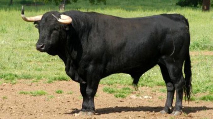 toro 3 2 toro 3 2
