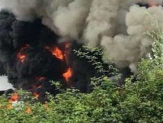 versilia incendio