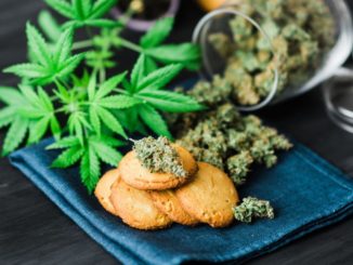 cannabis
