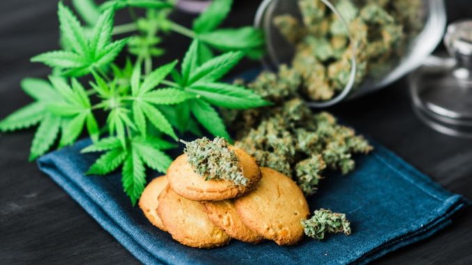 cannabis cannabis
