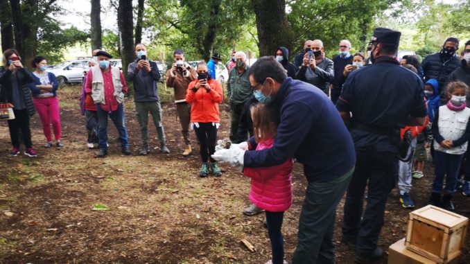 Bosco Rapaci liberati 3