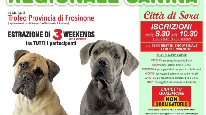 esposizione canina