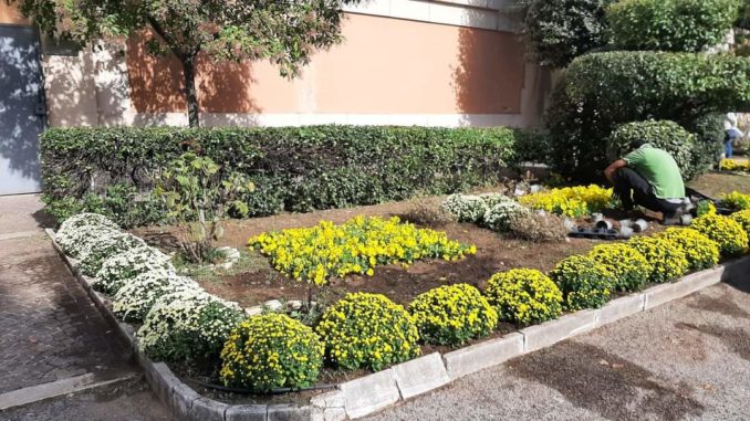 aiuole cimitero