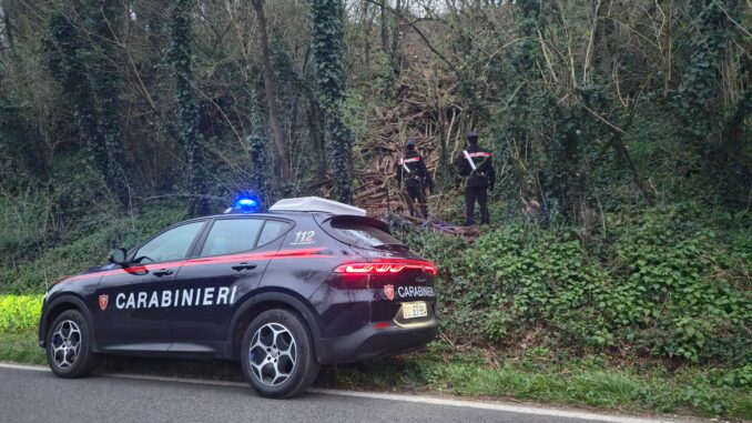 COLLEFERRO - L'intervento dei Carabinieri per il furto di legna (3)